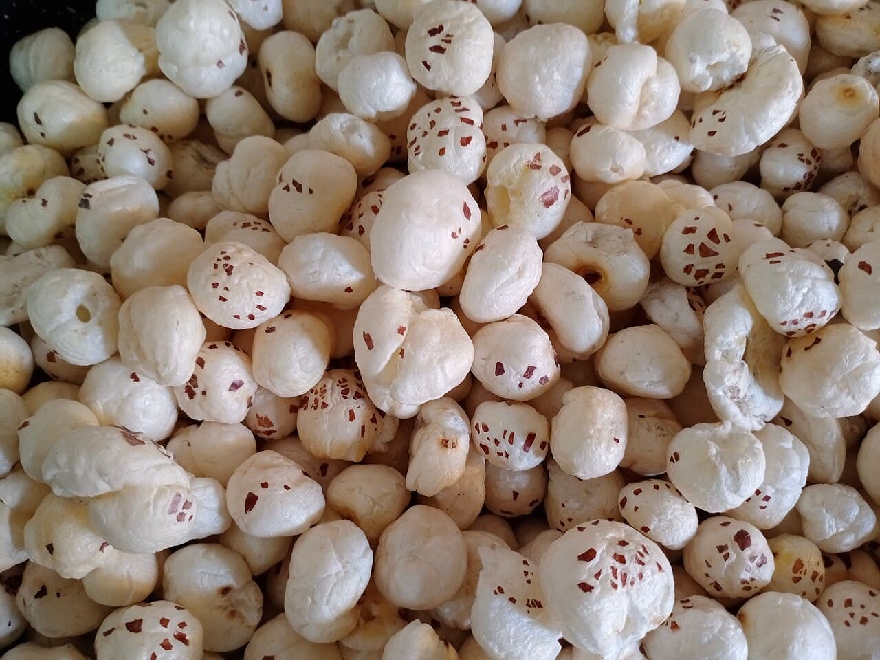 Classic Roasted Makhana